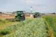 Demoagro2013-284