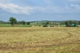 Demoagro2013-314