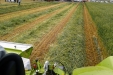 Demoagro2013-343