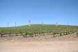 Demoagro2015-124