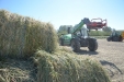 Demoagro2015-304