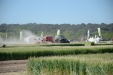 Demoagro2015-328