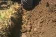 IMG_20140801_135550