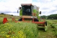 ClaasDominator-25