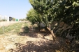 huerto-21