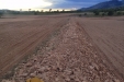 MolerPiedras-33