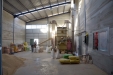 SeleccionSemillaCereal-03