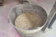 SeleccionSemillaCereal-25
