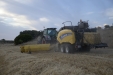 HnosRosado_empacado_Fendt824_NHBigBaler890-17