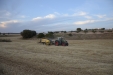 HnosRosado_empacado_Fendt824_NHBigBaler890-20