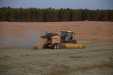 HnosRosado_empacado_Fendt824_NHBigBaler890-22