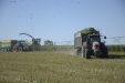 Ensilar-Sorgo-Forrajero-54