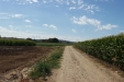 20150731_121142