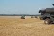 Fendt_Field_Day_Wadenbrunn2018-132