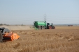 Fendt_Field_Day_Wadenbrunn2018-190