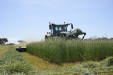 Fendt_Forraje-007
