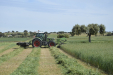 Fendt_Forraje-026