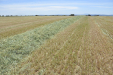Fendt_Forraje-044