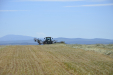 Fendt_Forraje-045