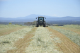 Fendt_Forraje-053