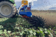 GST-Biostar-rapeseed