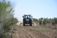 JohnDeere_6110M-15