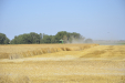JohnDeere_T550-02