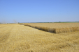 JohnDeere_T550-12