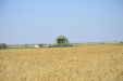 JohnDeere_T550-21
