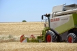 CosechaCereales-08