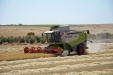 CosechaCereales-30