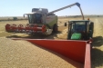 CosechaCereales-42