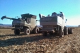 cosechadorasFendt9350RyFendt6300CAL-08