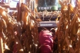 cosechadorasFendt9350RyFendt6300CAL-11