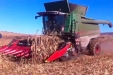 cosechadorasFendt9350RyFendt6300CAL-17