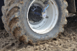 Michelin-25
