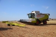 MoresilGirasol-16