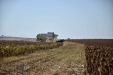 MoresilGirasol-26