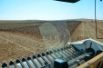 MoresilGirasol-56