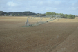 DSC5814