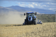 NewHolland_gradarapida-04