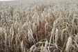 20120831_152317