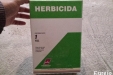 Haboncillos-10