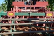 Ovlac-MiniVid-Grada-Rapida05