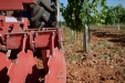 Ovlac-MiniVid-Grada-Rapida08