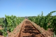Ovlac-MiniVid-Grada-Rapida11