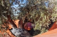 Paraguas_vibrador_aceituna-08