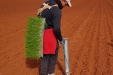 plantandoCebollas-05