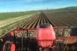 Plantando_patatas_salamanca-01
