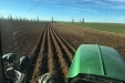 Plantando_patatas_salamanca-02